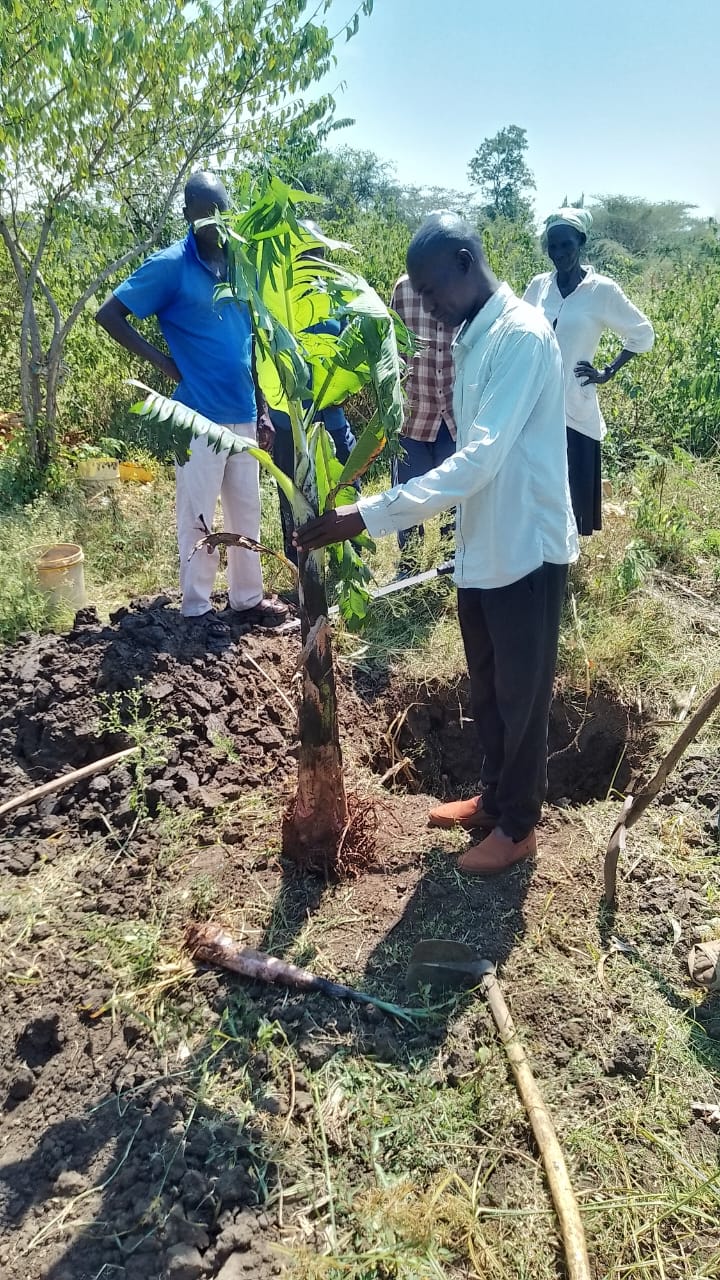 JUNE 2026: BANANA FOR EVERY HOUSEHOLD (BUILDING FOOD SECURITY IN KANDHAWA VILLAGE